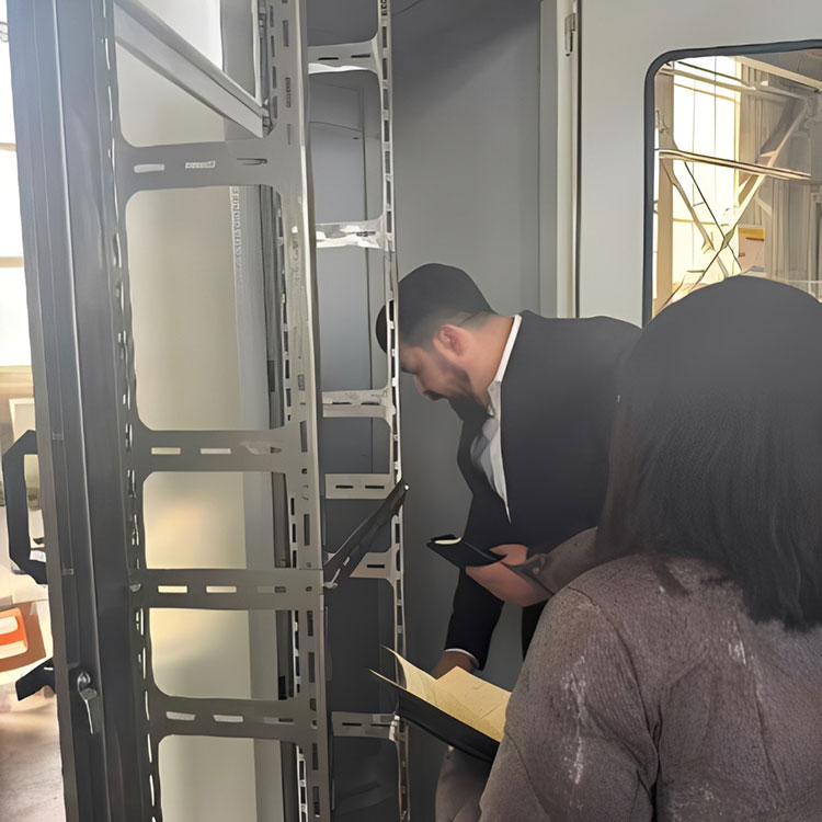 SKYT приветствует британского клиента для принятия образцов, обеспечивает оптовый заказ и будущее сотрудничество